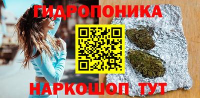 СК Норильск