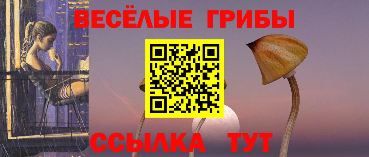Галлюциногенные грибы GOLDEN TEACHER Новочебоксарск