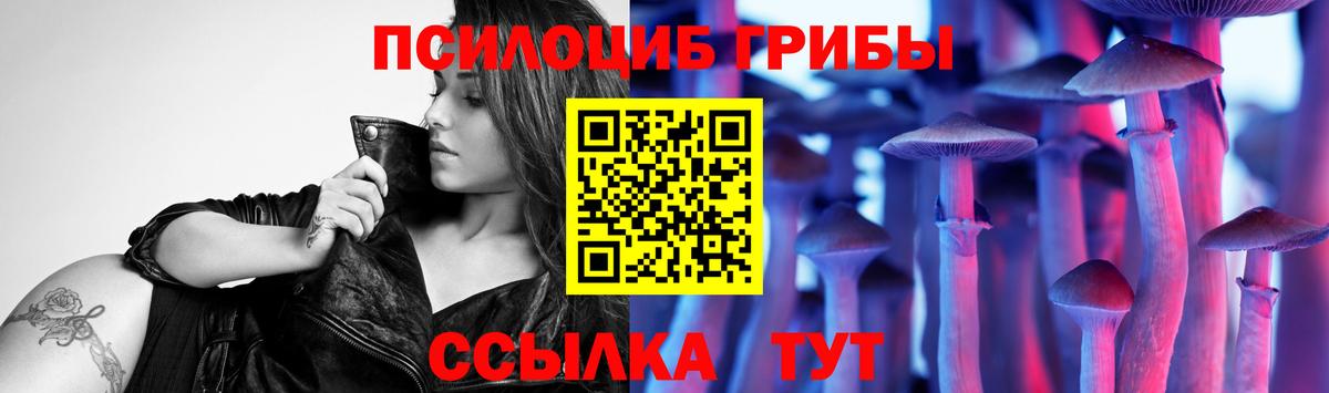 Галлюциногенные грибы ЛСД  Вход с VPN  Псилоцибиновые грибы Psilocybe  цены   Новочебоксарск 